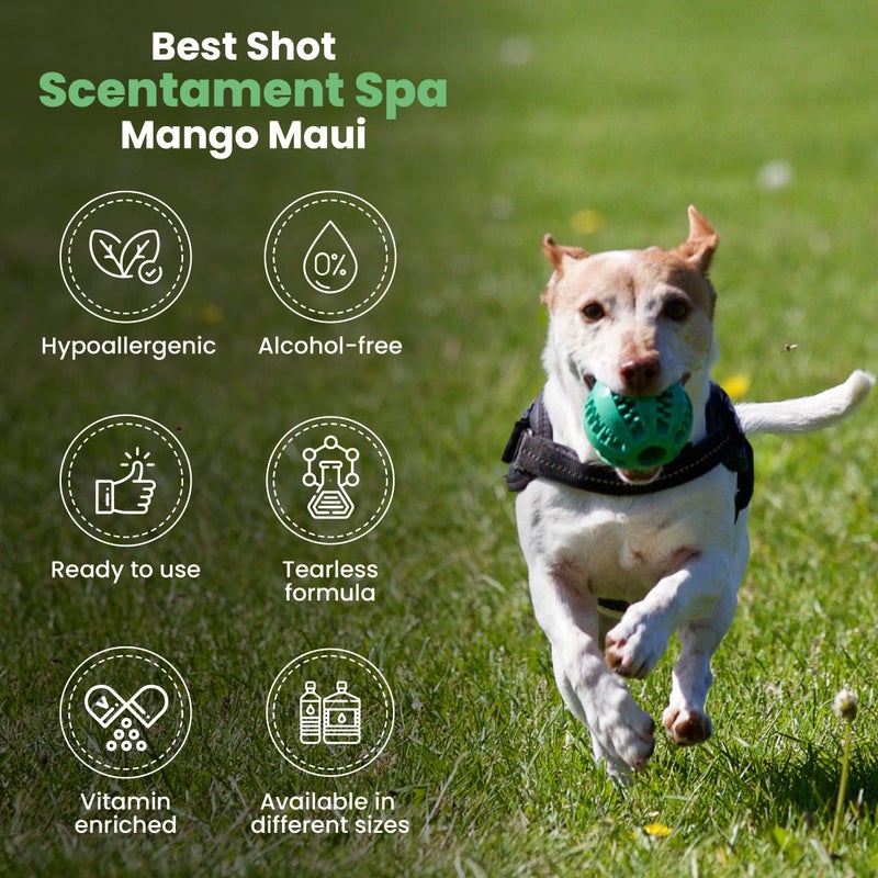 Best Shot Scentament Spa for Pets, Seasonal Facial Spa and Body Wash, Mango Maui, Tearless Shampoo, Hypoallergenic Body Wash, Reduces Tear Stains, 1 Gallon - Image 4